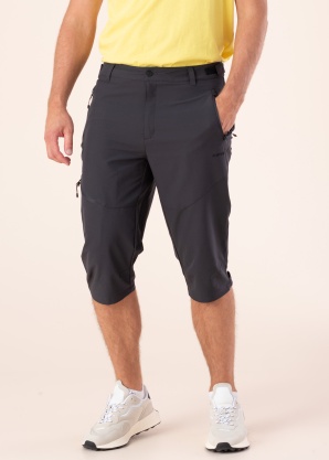 Icepeak bridžai Ballard