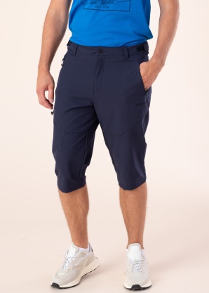 Icepeak bridžai Ballard