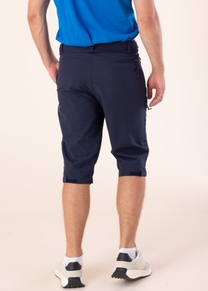 Icepeak bridžai Ballard