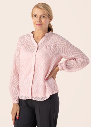 Fransa palaidinė Hazy