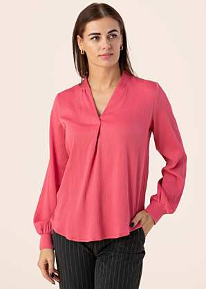 Fransa palaidinė Viline