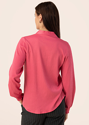 Fransa palaidinė Viline