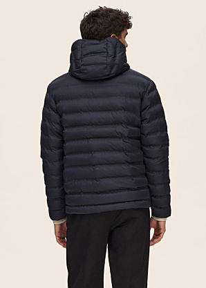 Selected striukė Barry