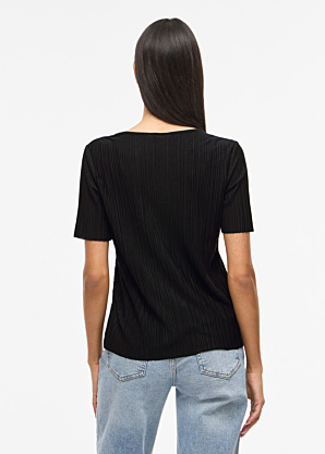 Vila palaidinė Plisa