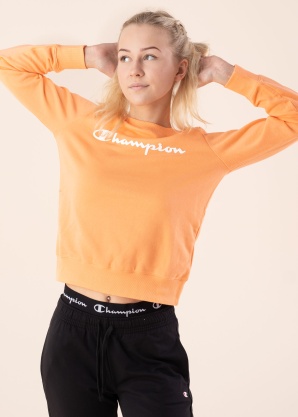 Champion megztinis
