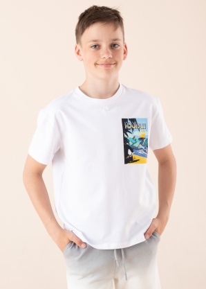 Tommy Hilfiger marškinėliai Hawaii Beach