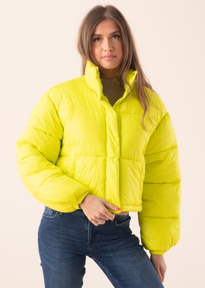 JJXX žieminė striukė Beany