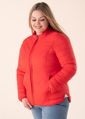 Ciso pavasario-rudens striukė