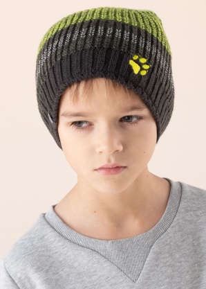 Jack Wolfskin žieminė kepurė Stormlock