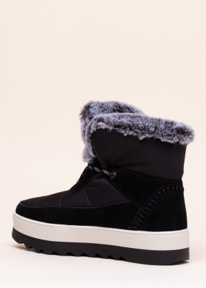 Cougar aulinukai Vibe