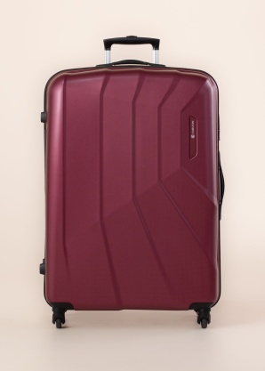 Carlton lagaminas Paddington Nxt