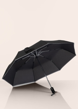 Lasessor skėtis Reflective