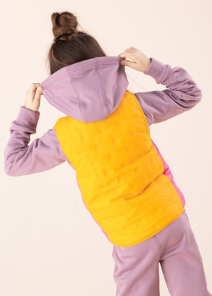 Didriksons liemenė Doro