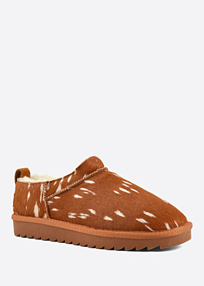 Colors of California aulinukai Yw269