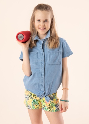 Only palaidinė Lise