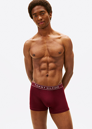 Tommy Hilfiger apatiniai, 3 vnt.